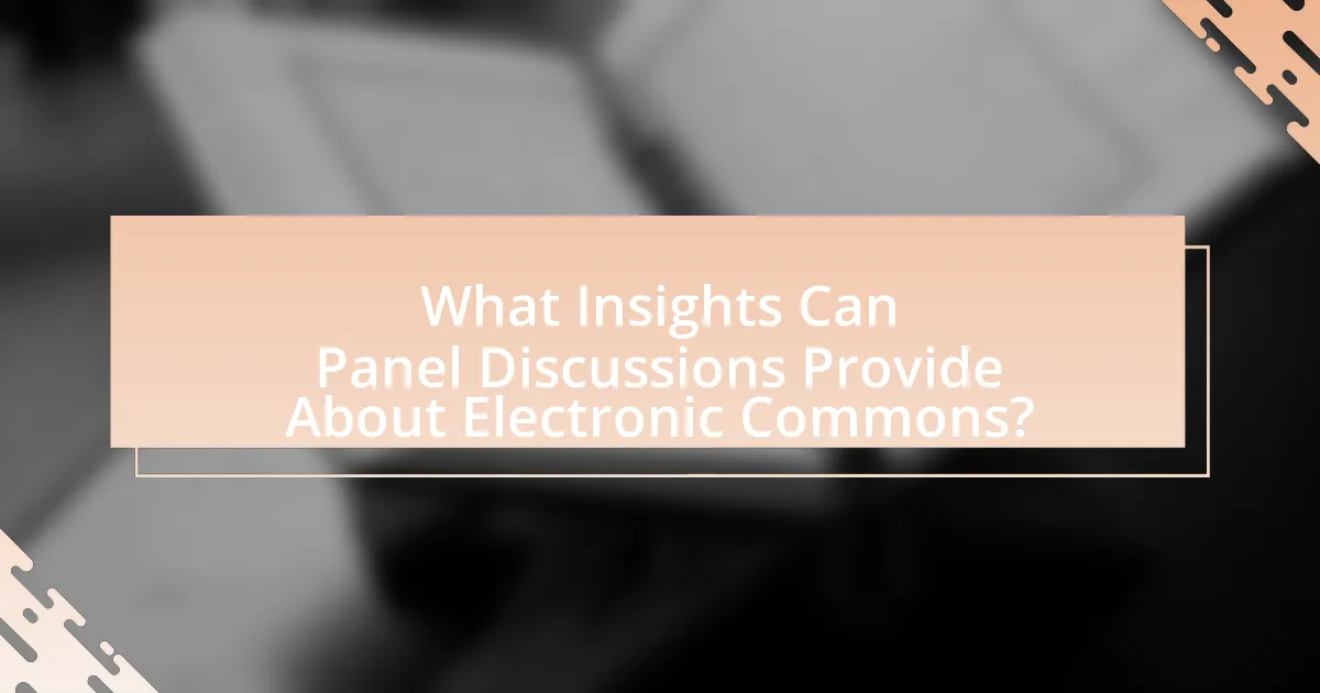 What Insights Can Panel Discussions Provide About Electronic Commons?